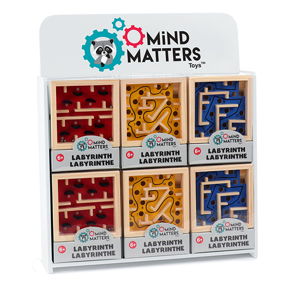 Mind Matters Labyrinth Puzzle