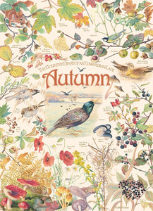 Cobble Hill - Country Diary: Autumn - 1,000 piece Jigsaw Puzzle