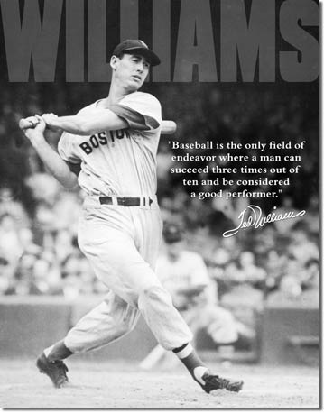 Ted Williams Tin Sign