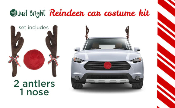 Turn Your Car Into a Reindeer