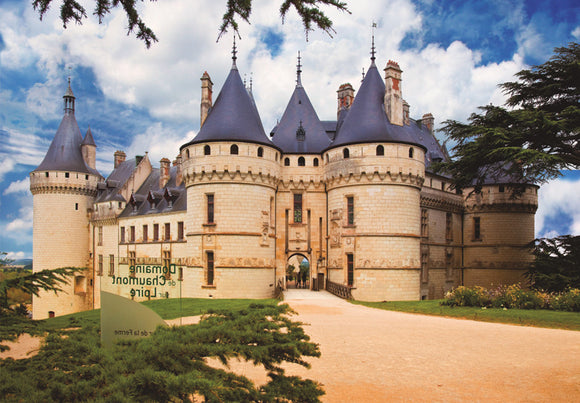 DToys - Chateau de Chaumont (famous places) - 1,000 piece Jigsaw Puzzle