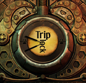 Trip Lock Game