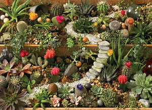 Cobble Hill - Succulent Garden - 1000 pc Jigsaw Puzzle